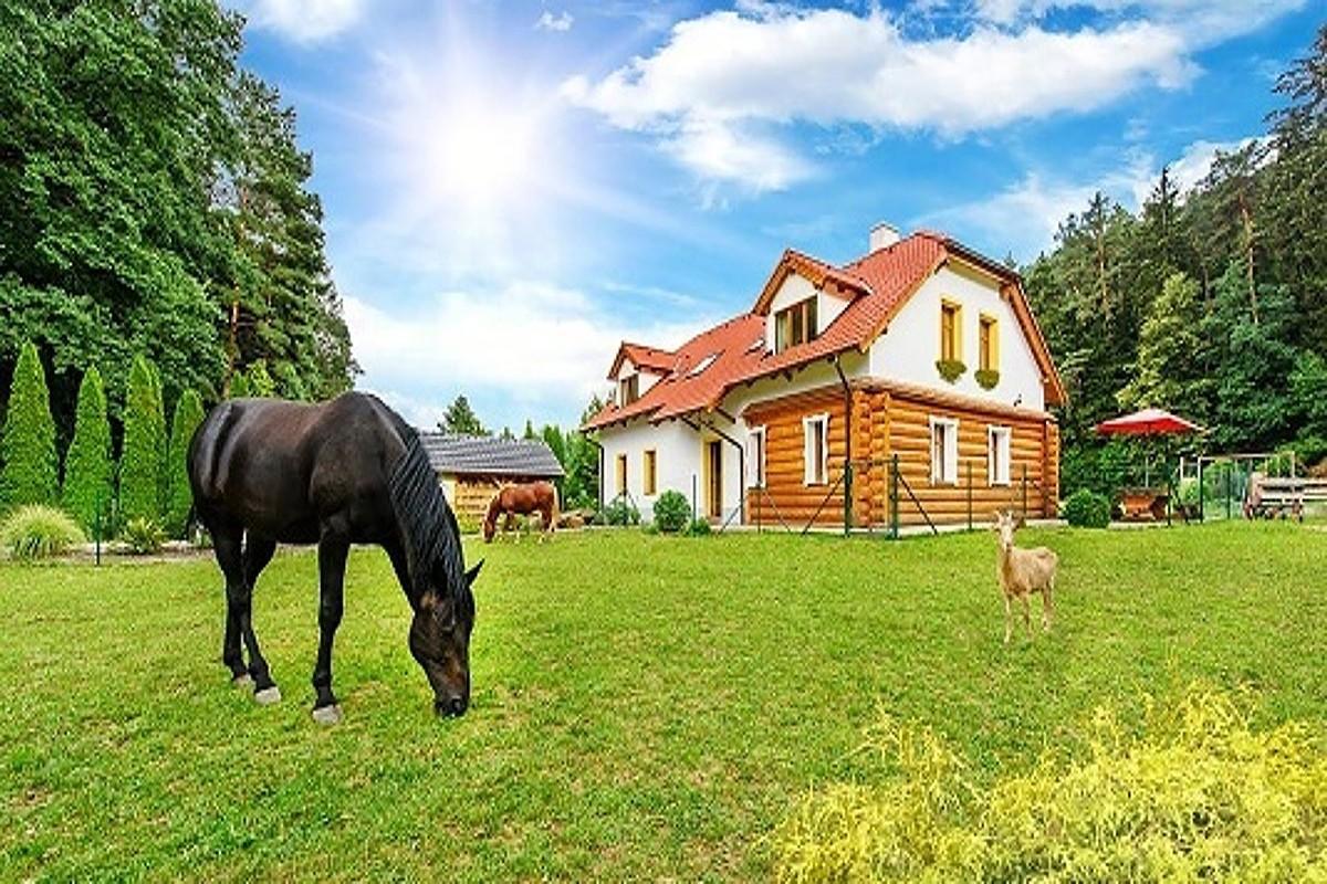 Farma Ztracenka Hotel Porici nad Sazavou Bagian luar foto
